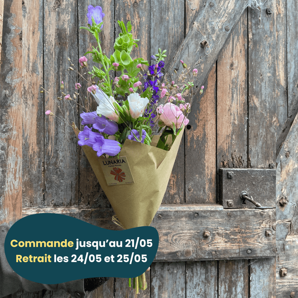 PRÉCOMMANDE FÊTE DES MÈRES - Bouquet de fleurs locales Lunaria vrac-zero-dechet-ecolo-montaudran