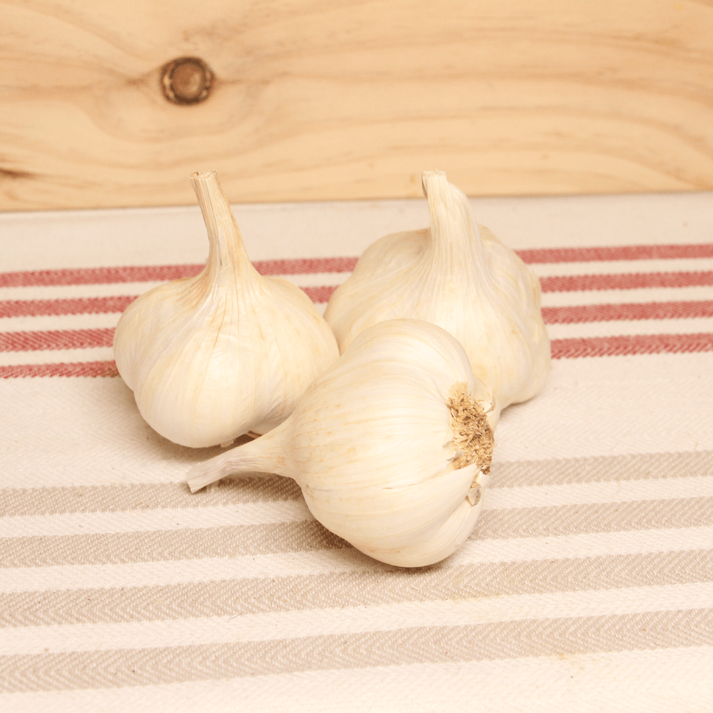Ail blanc sec BIO - 150g NOT_APPLICABLE vrac-zero-dechet-ecolo-montaudran