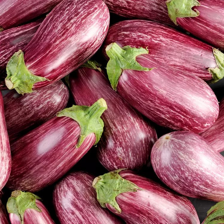 Aubergine graffiti BIO - 750g NOT_APPLICABLE vrac-zero-dechet-ecolo-montaudran