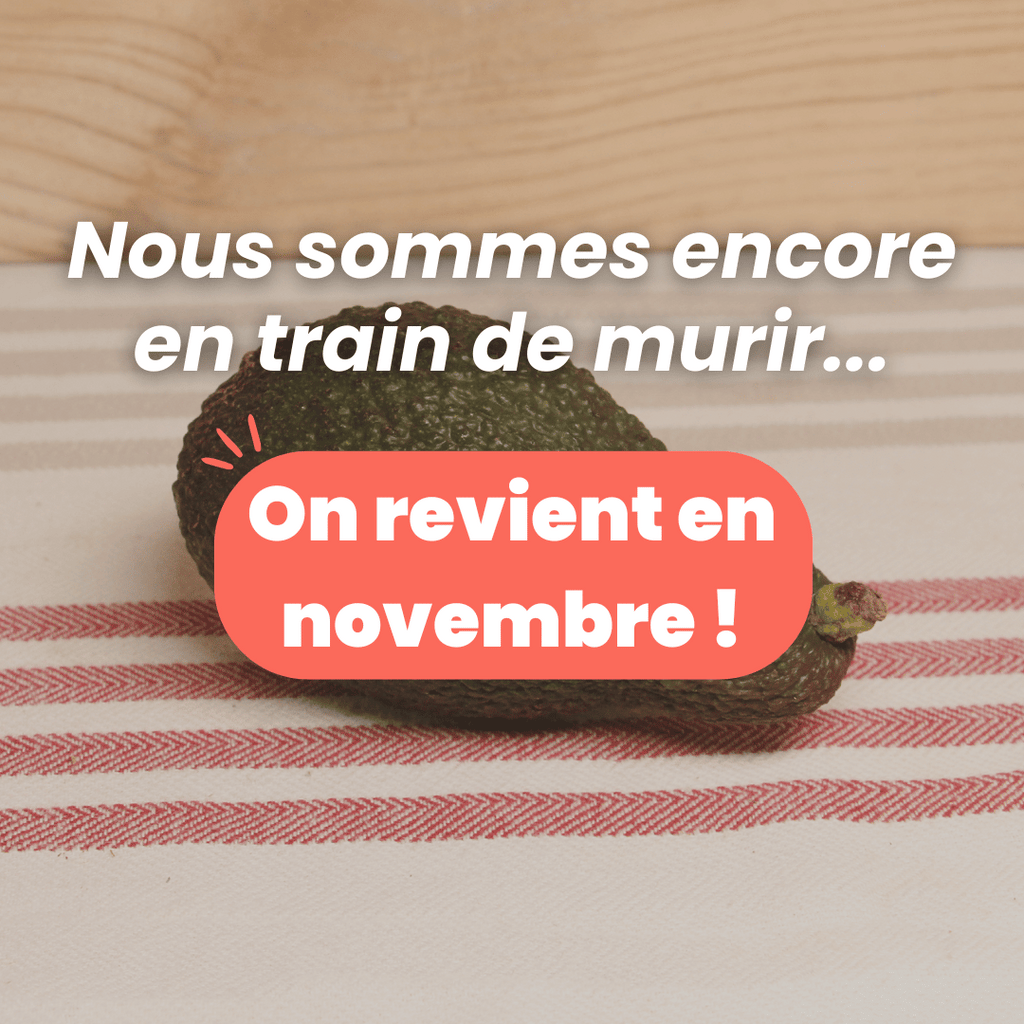 Avocat Hass BIO - La pièce NOT_APPLICABLE vrac-zero-dechet-ecolo-montaudran