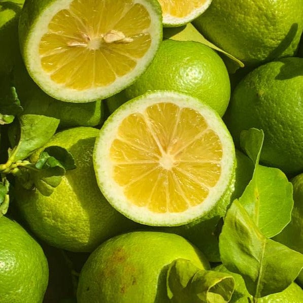 Citron jaune (coloration verte) BIO - 500g NOT_APPLICABLE vrac-zero-dechet-ecolo-montaudran