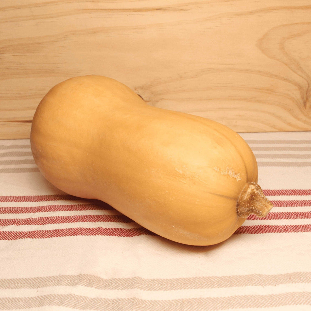Courge Butternut BIO - La pièce Le Bon Plant vrac-zero-dechet-ecolo-montaudran