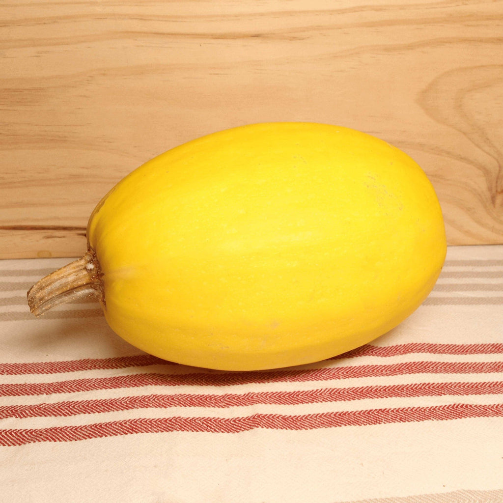 Courge Spaghetti BIO - La pièce Le Bon Plant vrac-zero-dechet-ecolo-montaudran
