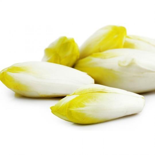 Endive BIO - 400 g NOT_APPLICABLE vrac-zero-dechet-ecolo-montaudran
