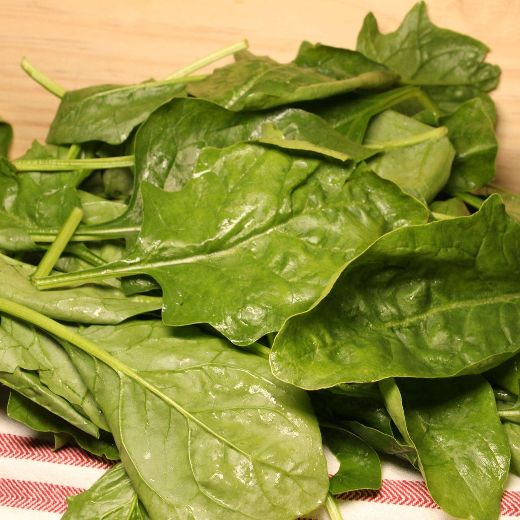 Epinard feuille BIO - 250g NOT_APPLICABLE vrac-zero-dechet-ecolo-montaudran