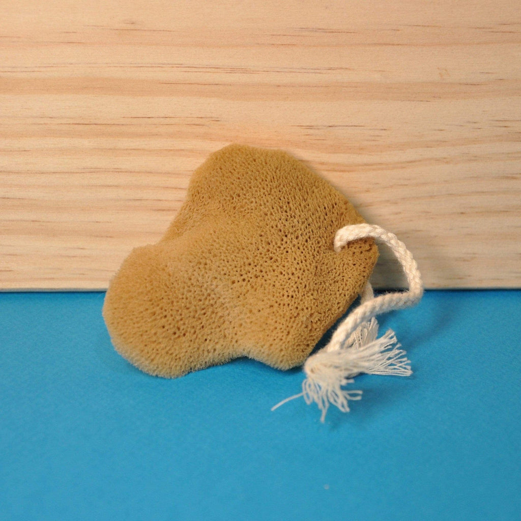 Eponge de mer démaquillante Jimbei vrac-zero-dechet-ecolo-montaudran