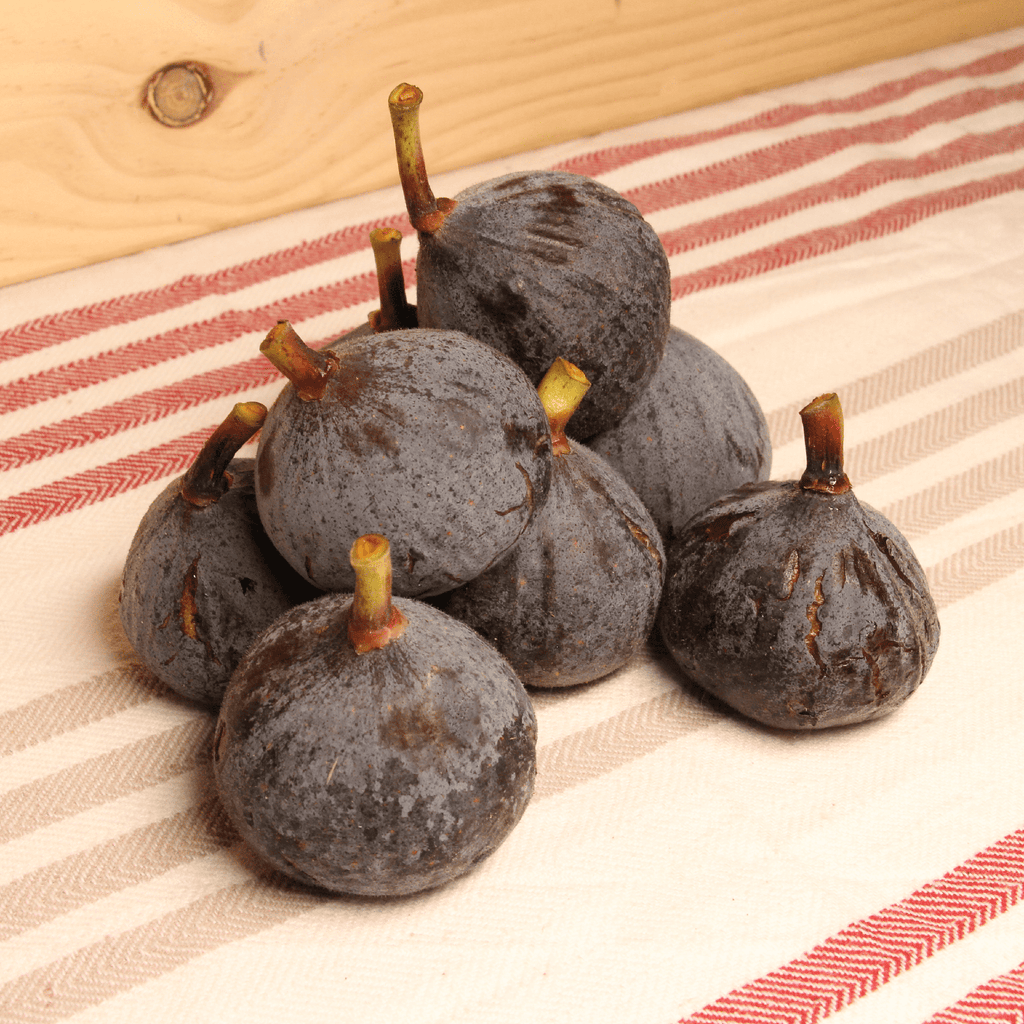 Figue noire BIO - 300g Sud Ouest vrac-zero-dechet-ecolo-montaudran