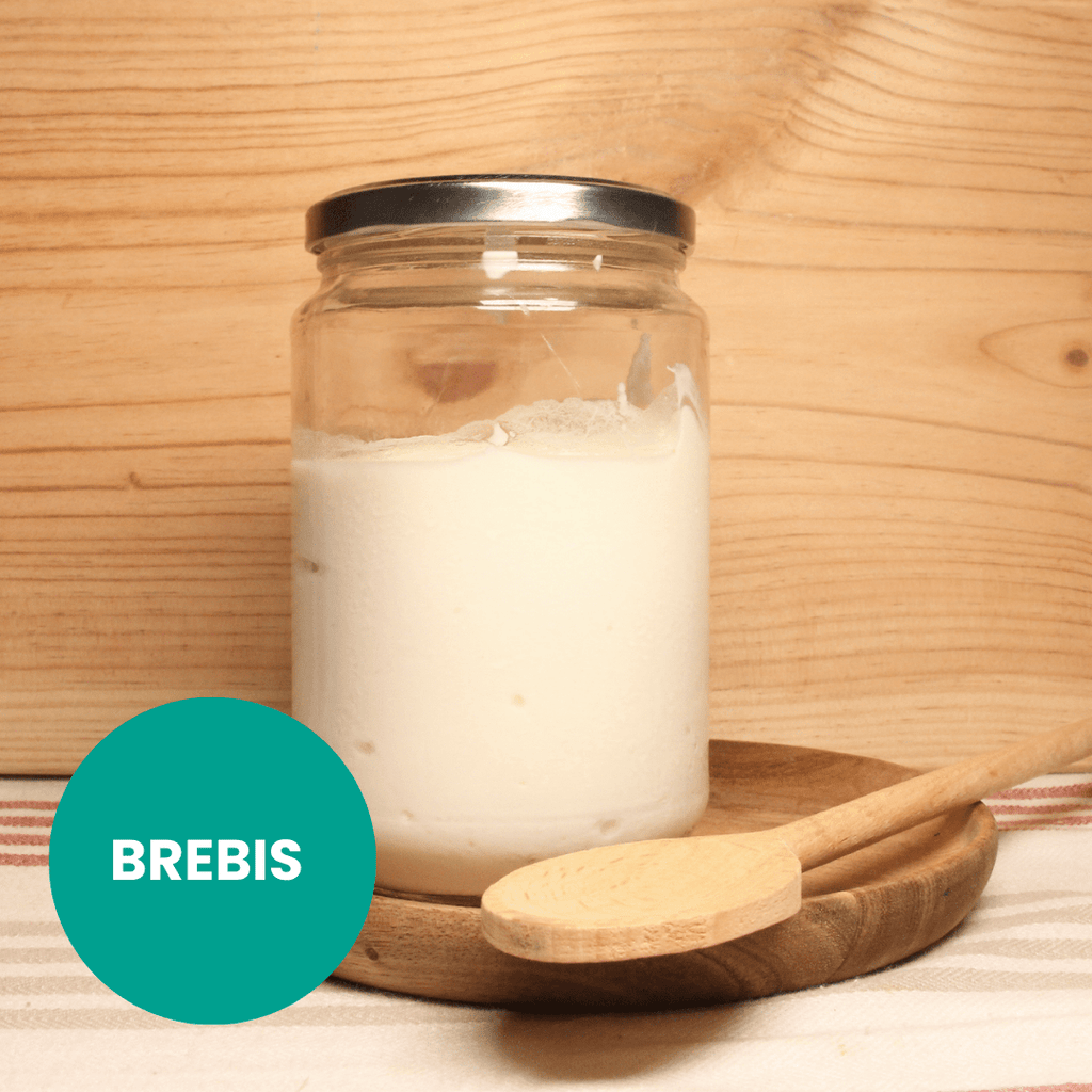 Fromage Blanc Brebis Bio - 700 g Biochamps vrac-zero-dechet-ecolo-montaudran