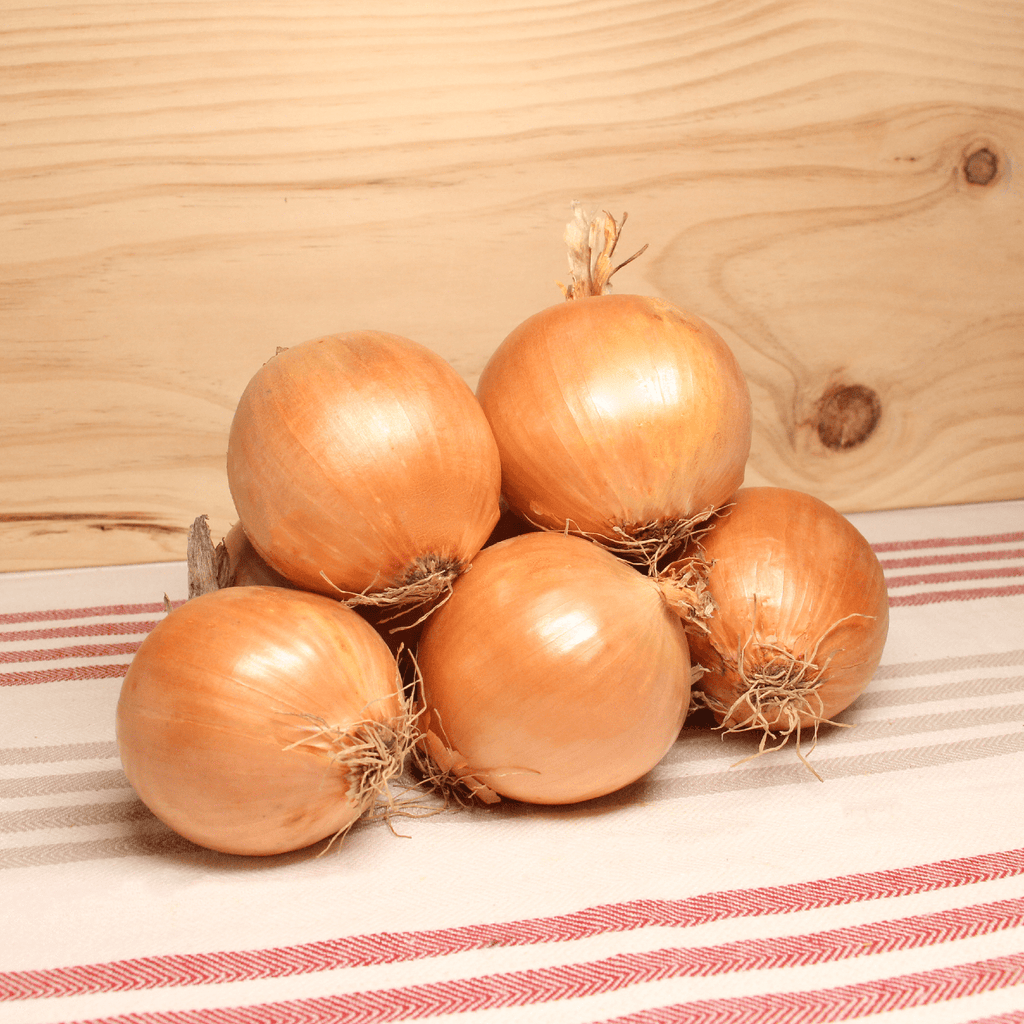 Oignon jaune Demi-sec BIO - 1kg NOT_APPLICABLE vrac-zero-dechet-ecolo-montaudran