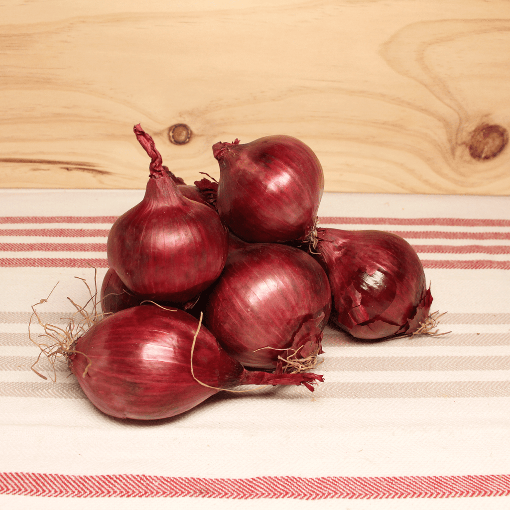 Oignon rouge BIO - 500g NOT_APPLICABLE vrac-zero-dechet-ecolo-montaudran
