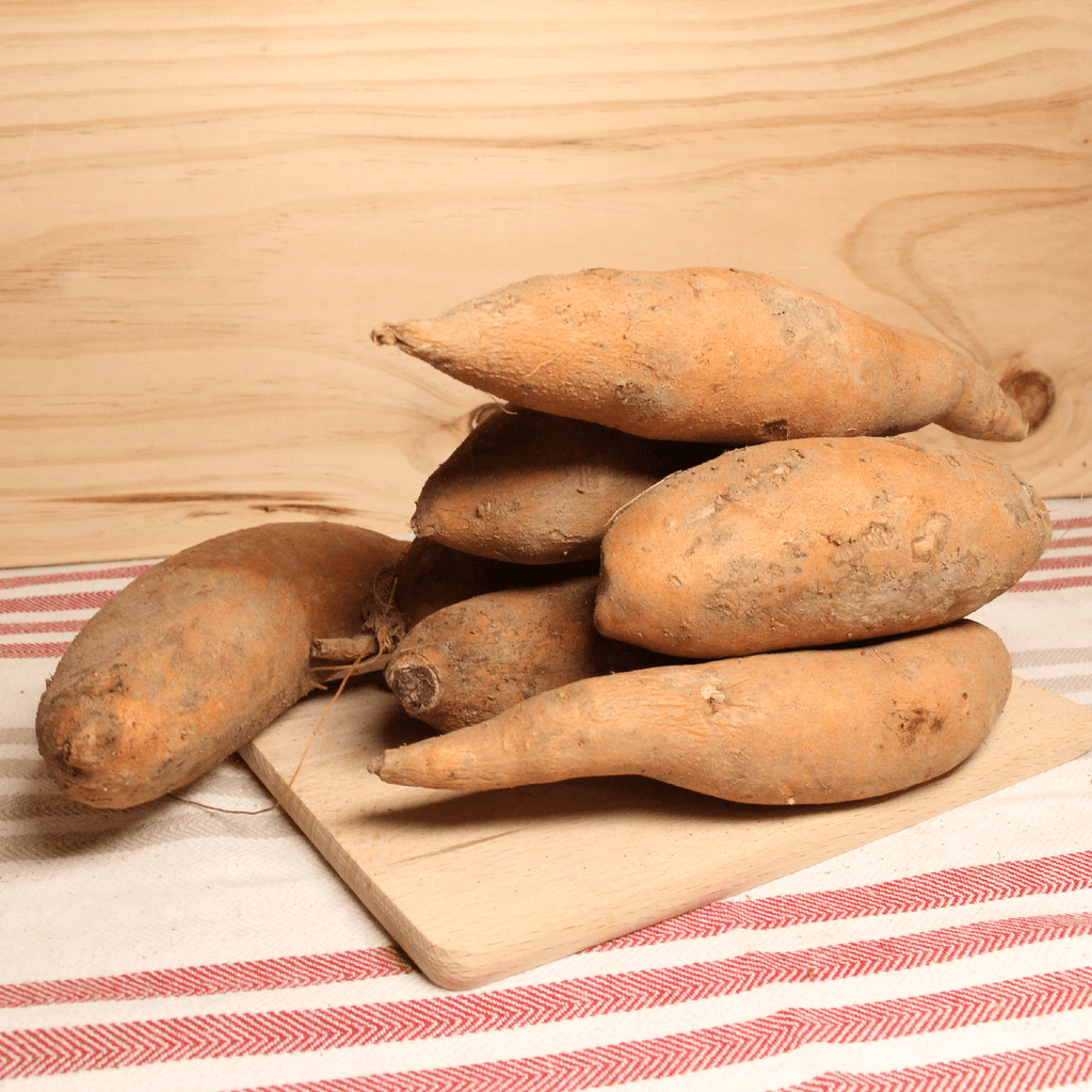Patate douce orange BIO - 1kg Le Bon Plant vrac-zero-dechet-ecolo-montaudran