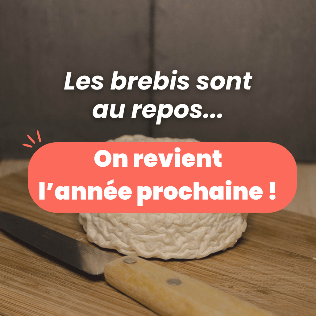 Petit crémeux de brebis au lait cru des Pyrénées Fromagerie du Plateau vrac-zero-dechet-ecolo-montaudran