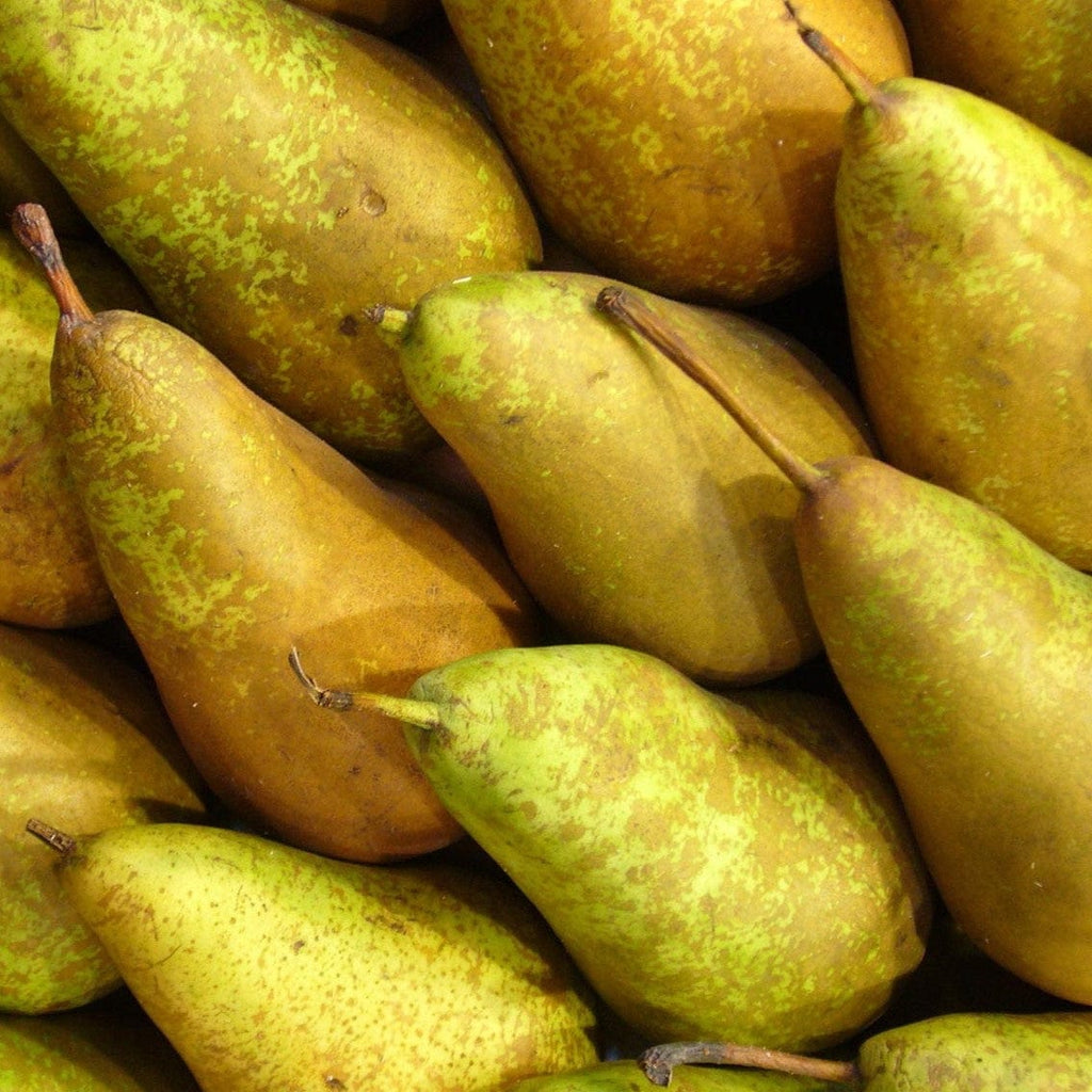 Poire Conférence BIO - 1kg NOT_APPLICABLE vrac-zero-dechet-ecolo-montaudran