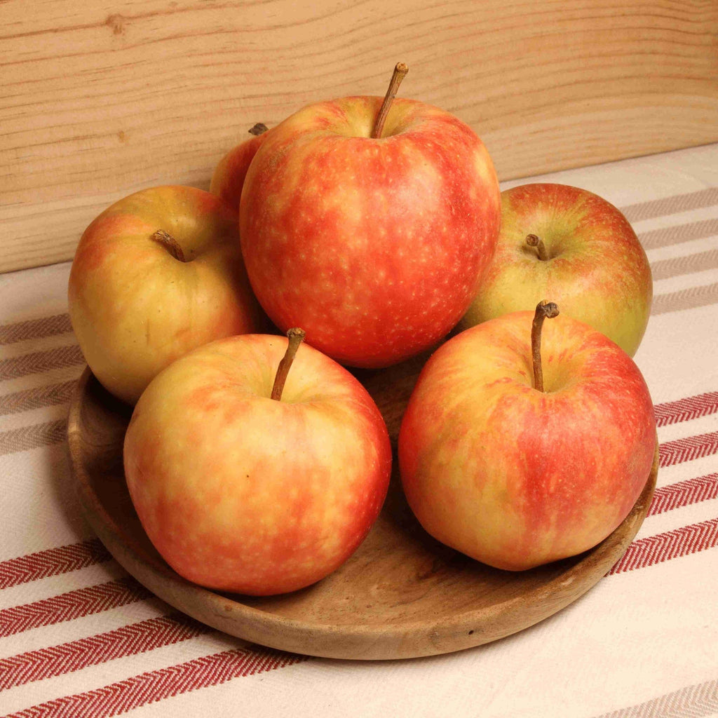 Pomme Gala BIO - 1kg NOT_APPLICABLE vrac-zero-dechet-ecolo-montaudran