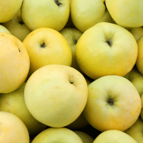 Pomme Lafayette Nouvelle récolte cat 2 cal 115/135 BIO - 1kg Pronadis vrac-zero-dechet-ecolo-montaudran