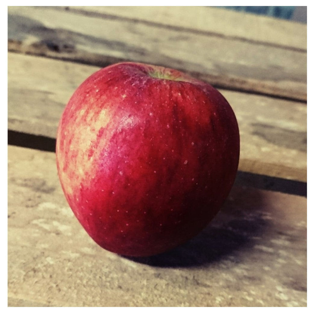 Pomme Rougelle BIO - 1kg Sud Ouest vrac-zero-dechet-ecolo-montaudran