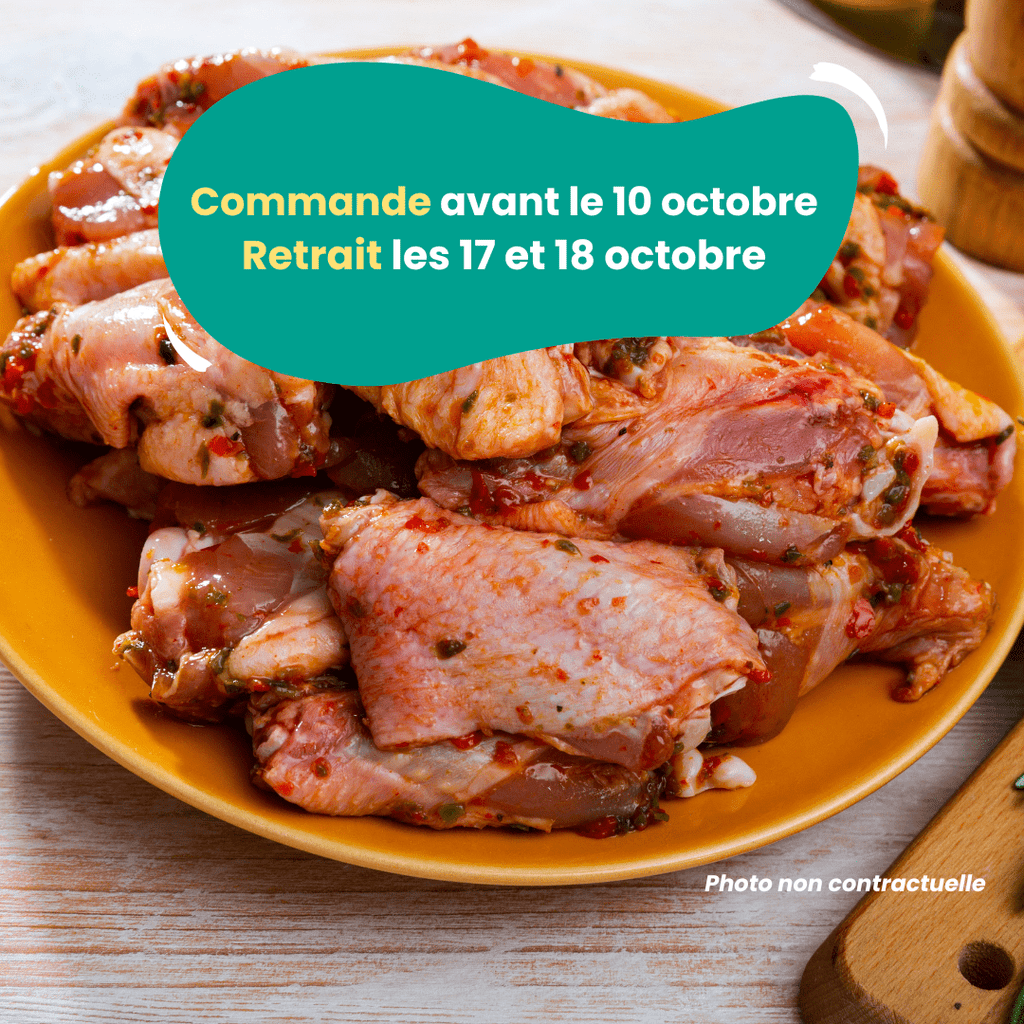 PRÉCOMMANDE Ailes de poulet marinées (1kg) Domaine des Tuileries vrac-zero-dechet-ecolo-montaudran