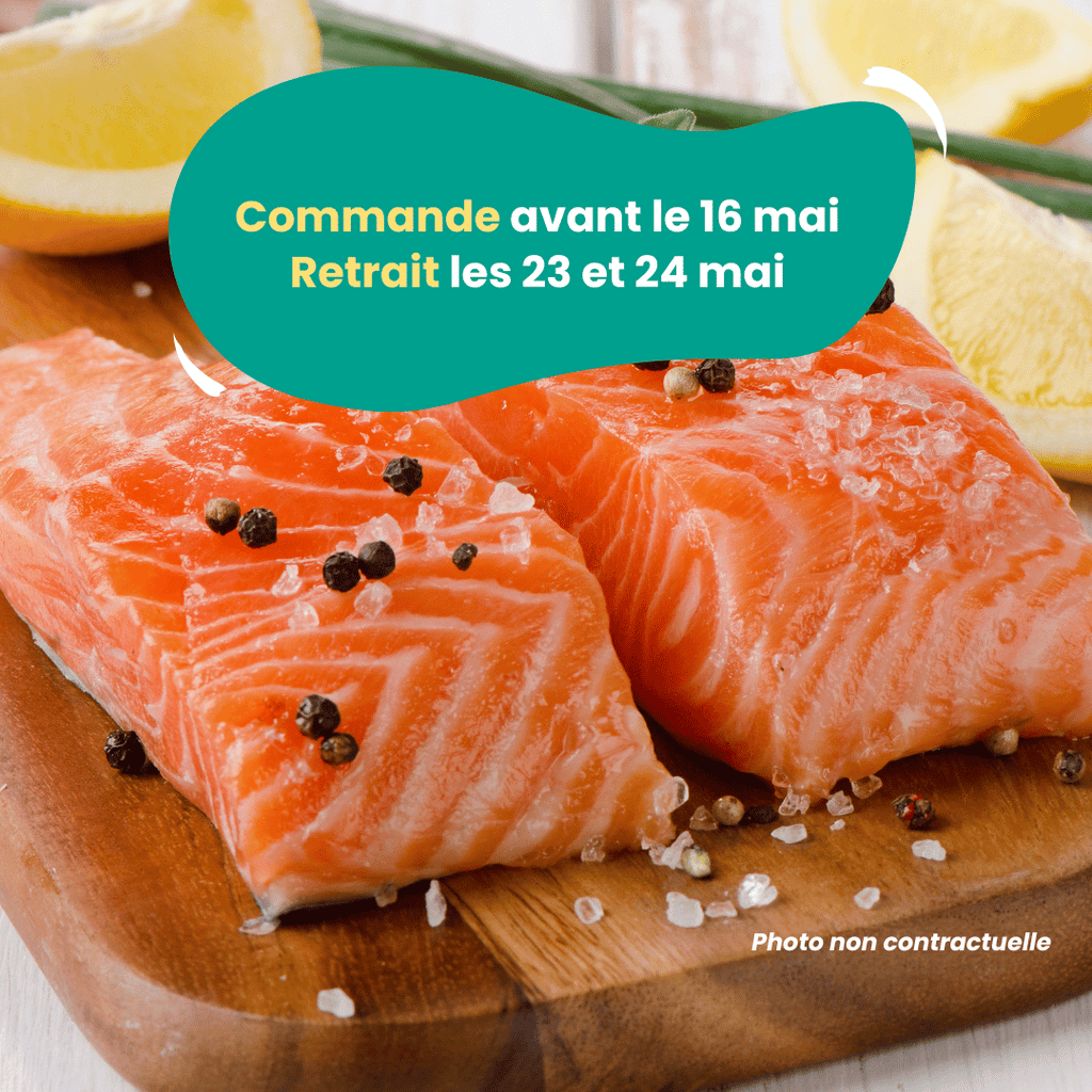PRÉCOMMANDE AVEC ACOMPTE - Pavés de truite (300 à 400g) PSS31 vrac-zero-dechet-ecolo-montaudran