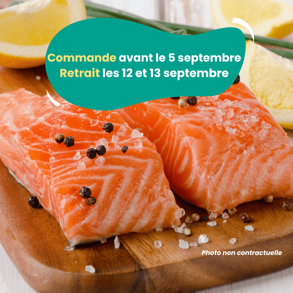 PRÉCOMMANDE AVEC ACOMPTE - Pavés de truite (300 à 400g) PSS31 vrac-zero-dechet-ecolo-montaudran