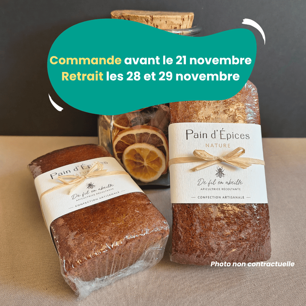 PRÉCOMMANDE - Pain d'épices Nature - 260g De Fil en Abeille vrac-zero-dechet-ecolo-montaudran