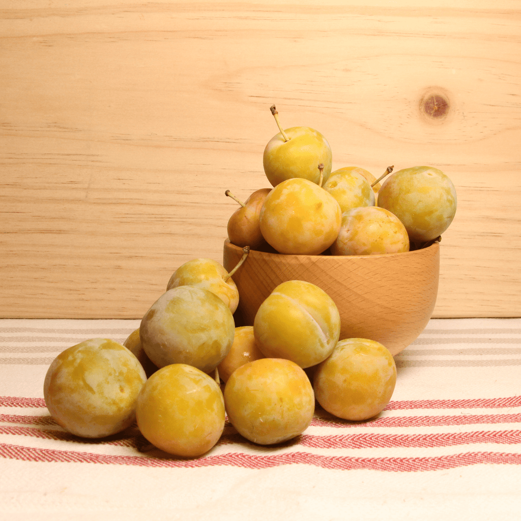 Prune Reine Claude BIO - 500g NOT_APPLICABLE vrac-zero-dechet-ecolo-montaudran