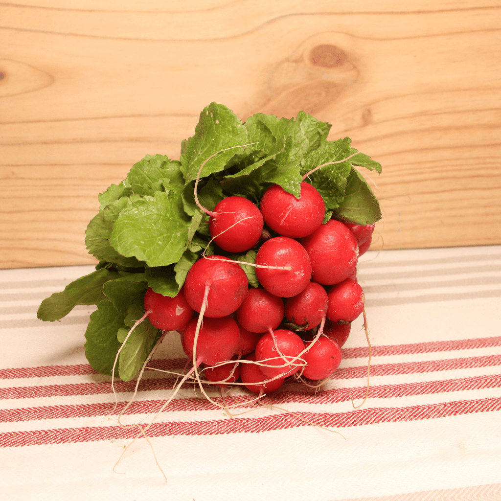 Radis rond rouge BIO - La botte Sud Ouest vrac-zero-dechet-ecolo-montaudran