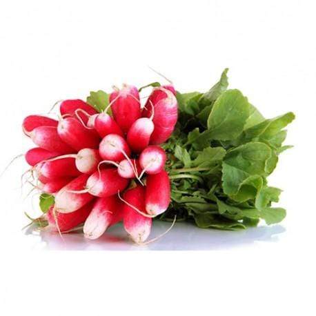 Radis rose BIO - La botte NOT_APPLICABLE vrac-zero-dechet-ecolo-montaudran