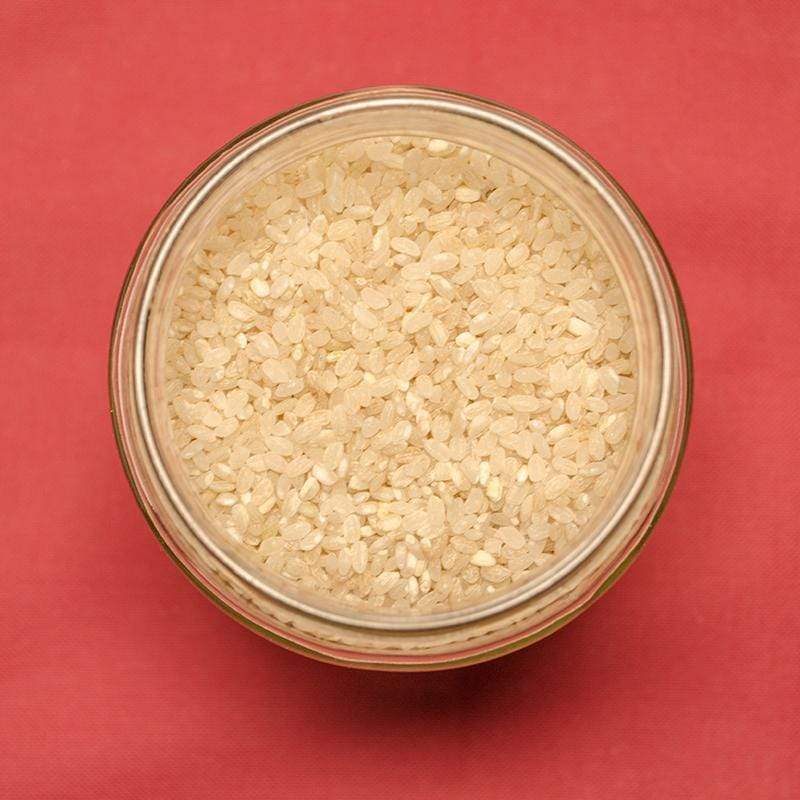 Riz rond semi-complet de Camargue IGP BIO - 500g Priméal vrac-zero-dechet-ecolo-montaudran