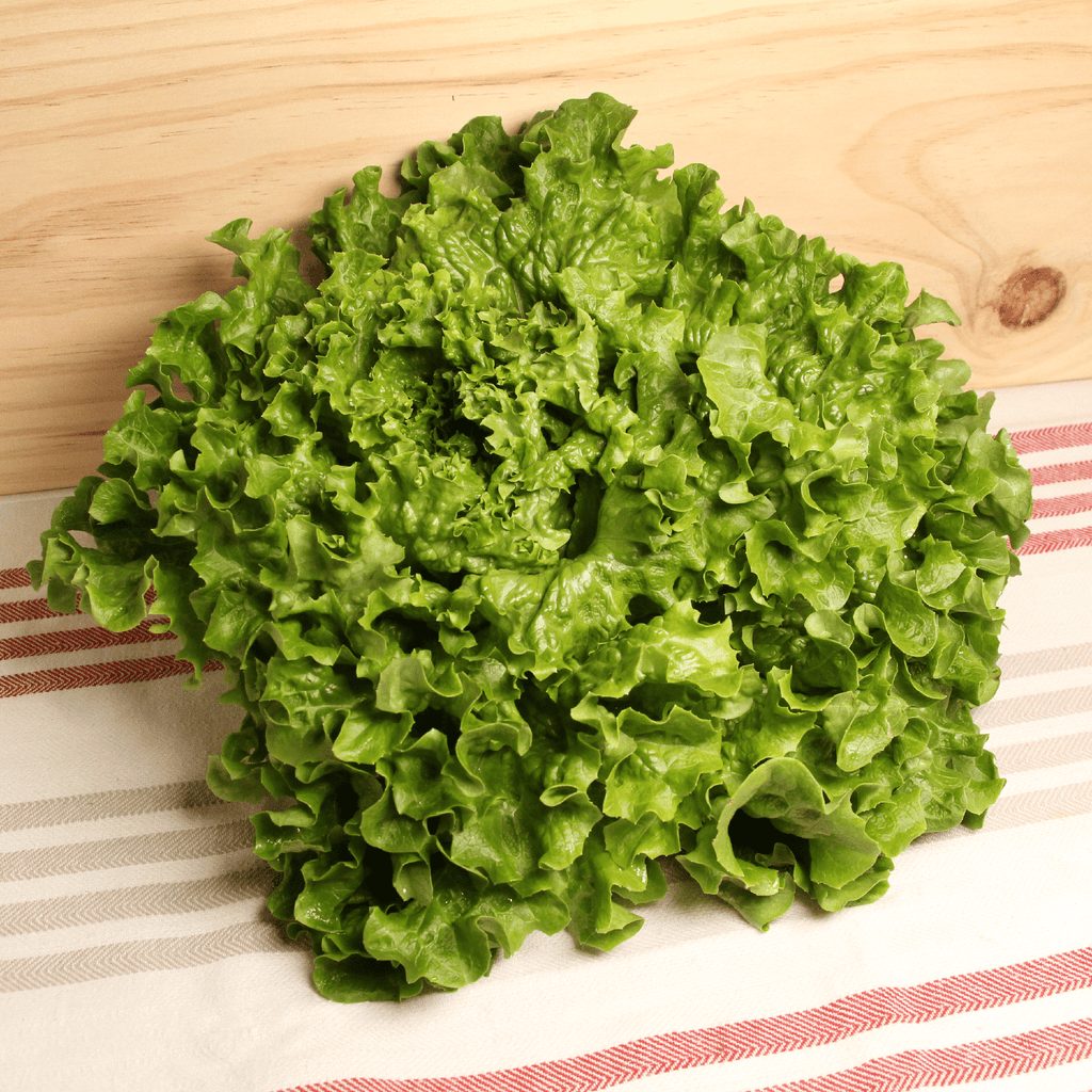 Salade batavia BIO - La pièce NOT_APPLICABLE vrac-zero-dechet-ecolo-montaudran
