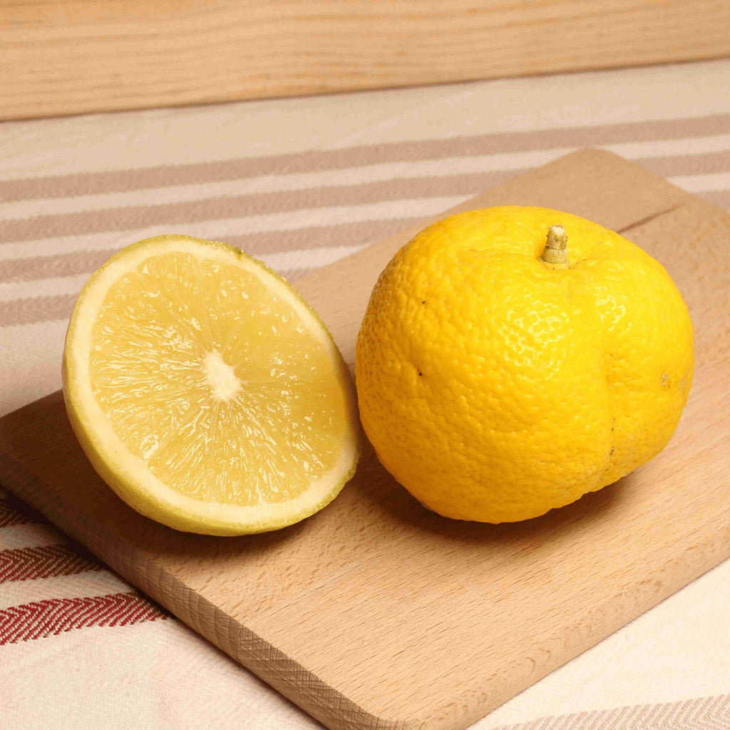 Yuzu - La pièce Le Bon Plant vrac-zero-dechet-ecolo-montaudran