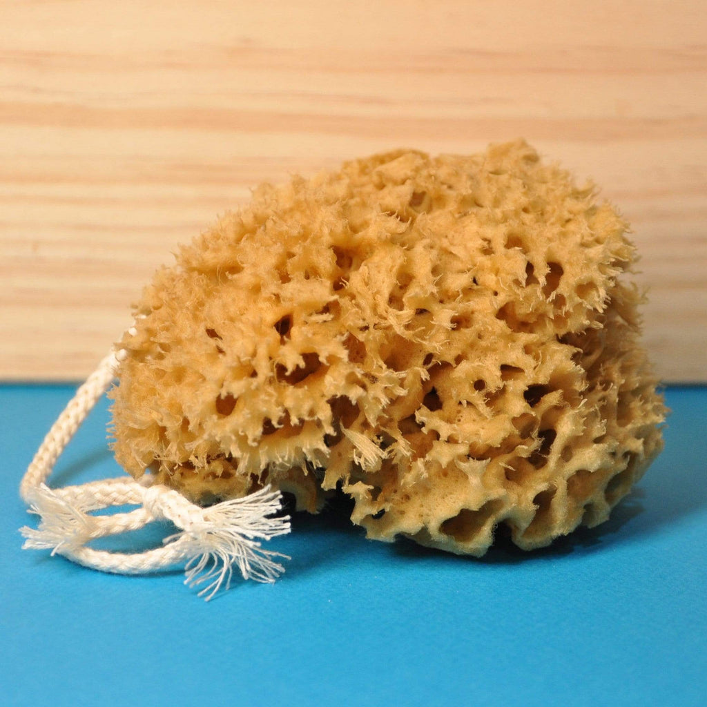 Eponge de mer fleur de douche Jimbei vrac-zero-dechet-ecolo-montaudran